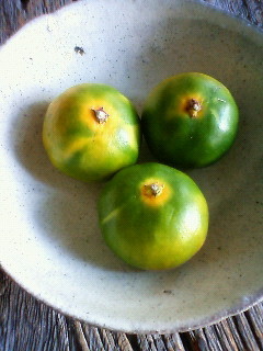 f:id:kusaboshi:20120922134900j:image