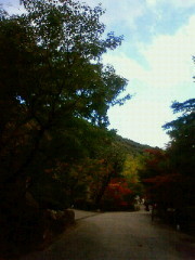 f:id:kusaboshi:20121101161500j:image