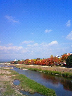 f:id:kusaboshi:20121108115700j:image
