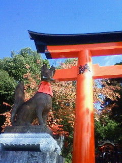 f:id:kusaboshi:20121108131900j:image