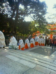 f:id:kusaboshi:20121108134400j:image