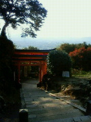 f:id:kusaboshi:20121108150500j:image