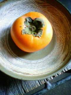 f:id:kusaboshi:20121111100500j:image