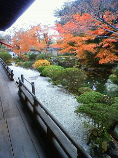 f:id:kusaboshi:20121122130600j:image