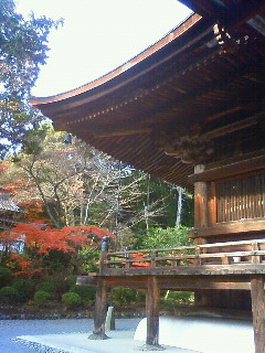 f:id:kusaboshi:20121122133200j:image