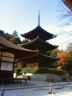 f:id:kusaboshi:20121122135400j:image