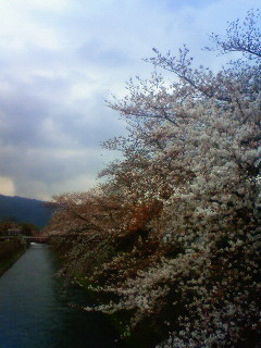 f:id:kusaboshi:20130329101800j:image