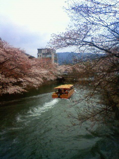 f:id:kusaboshi:20130329102700j:image