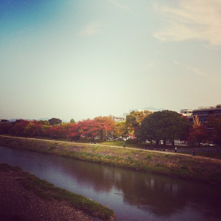 f:id:kusaboshi:20131106180129j:image:w300