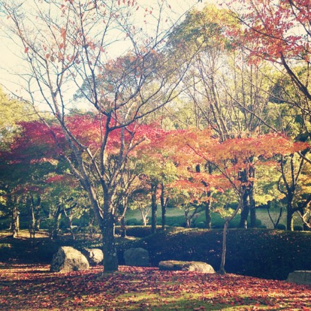 f:id:kusaboshi:20131114144945j:image:w300
