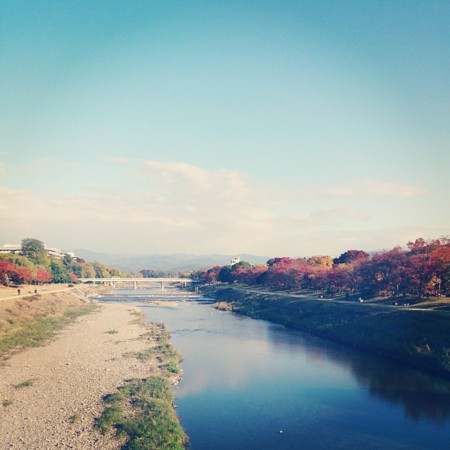 f:id:kusaboshi:20131121085731j:image:w300
