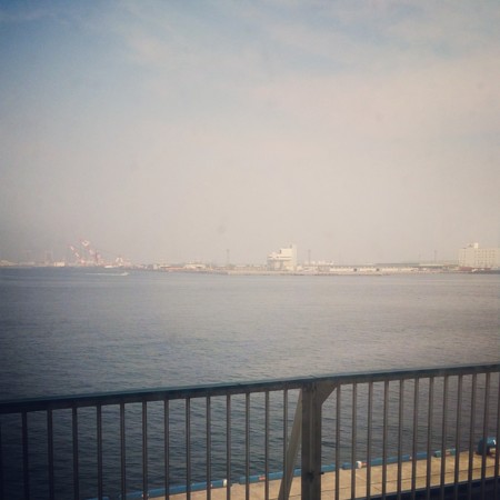 f:id:kusaboshi:20140627130257j:image:w300