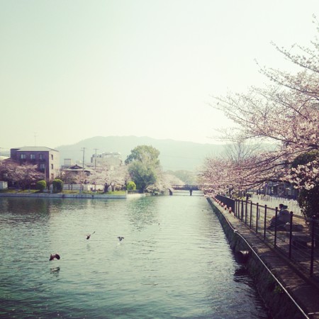 f:id:kusaboshi:20150331143737j:image:w260