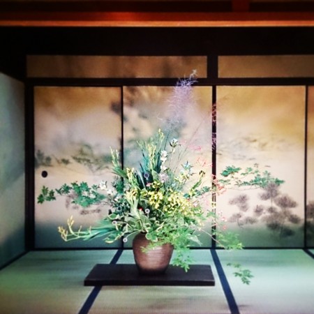 f:id:kusaboshi:20150722085250j:image:w300