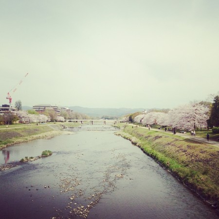 f:id:kusaboshi:20160406111122j:image:w300 f:id:kusaboshi:20160406111122j:image:w300