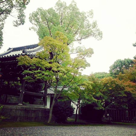 f:id:kusaboshi:20161029174441j:image:w300