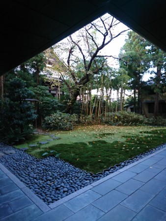 f:id:kusaboshi:20171116145007j:image:w300