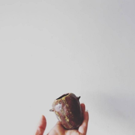 f:id:kusaboshi:20180122093253j:image:w300