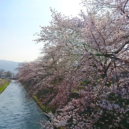 f:id:kusaboshi:20180327101413j:image:w300