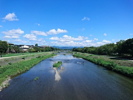 f:id:kusaboshi:20180903151610j:image:w300
