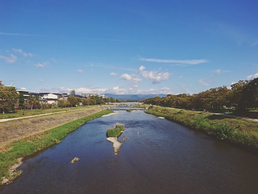 f:id:kusaboshi:20181018085549j:plain