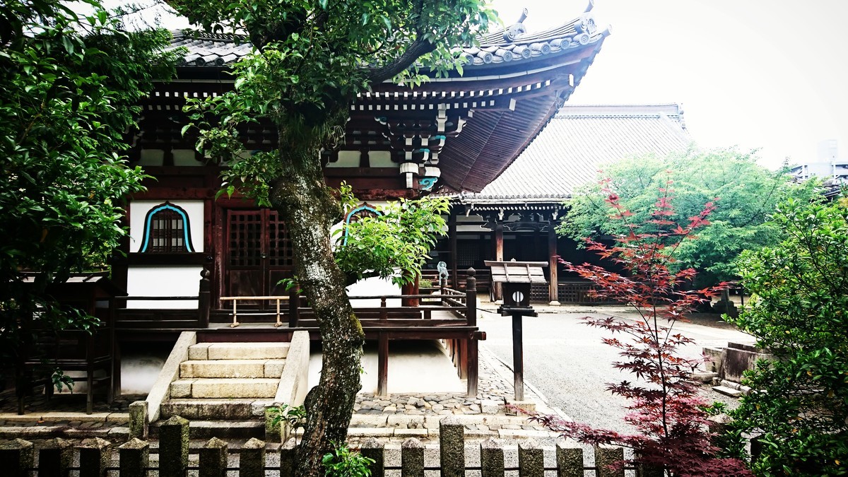 f:id:kusaboshi:20190608114004j:plain