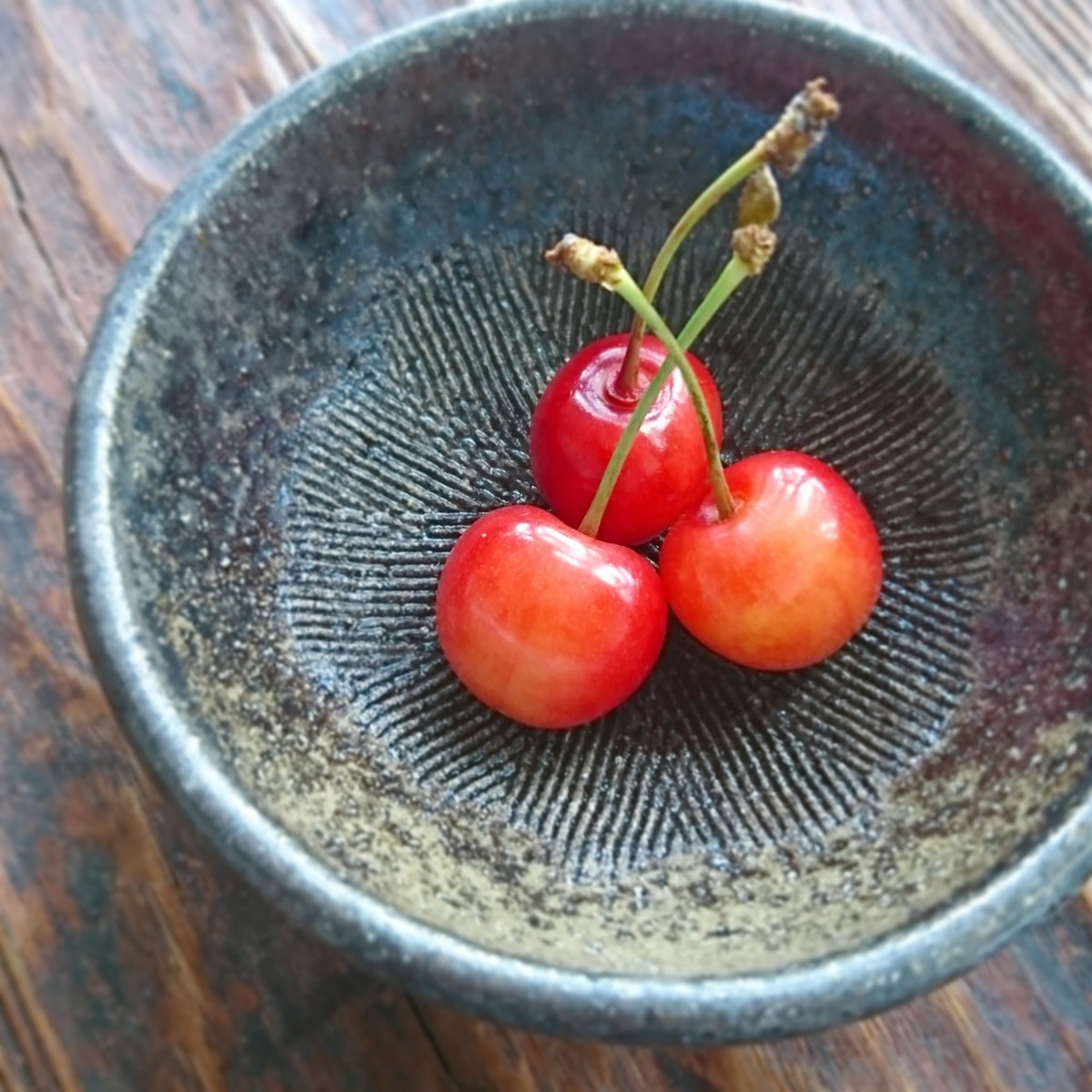 f:id:kusaboshi:20190617215250j:plain
