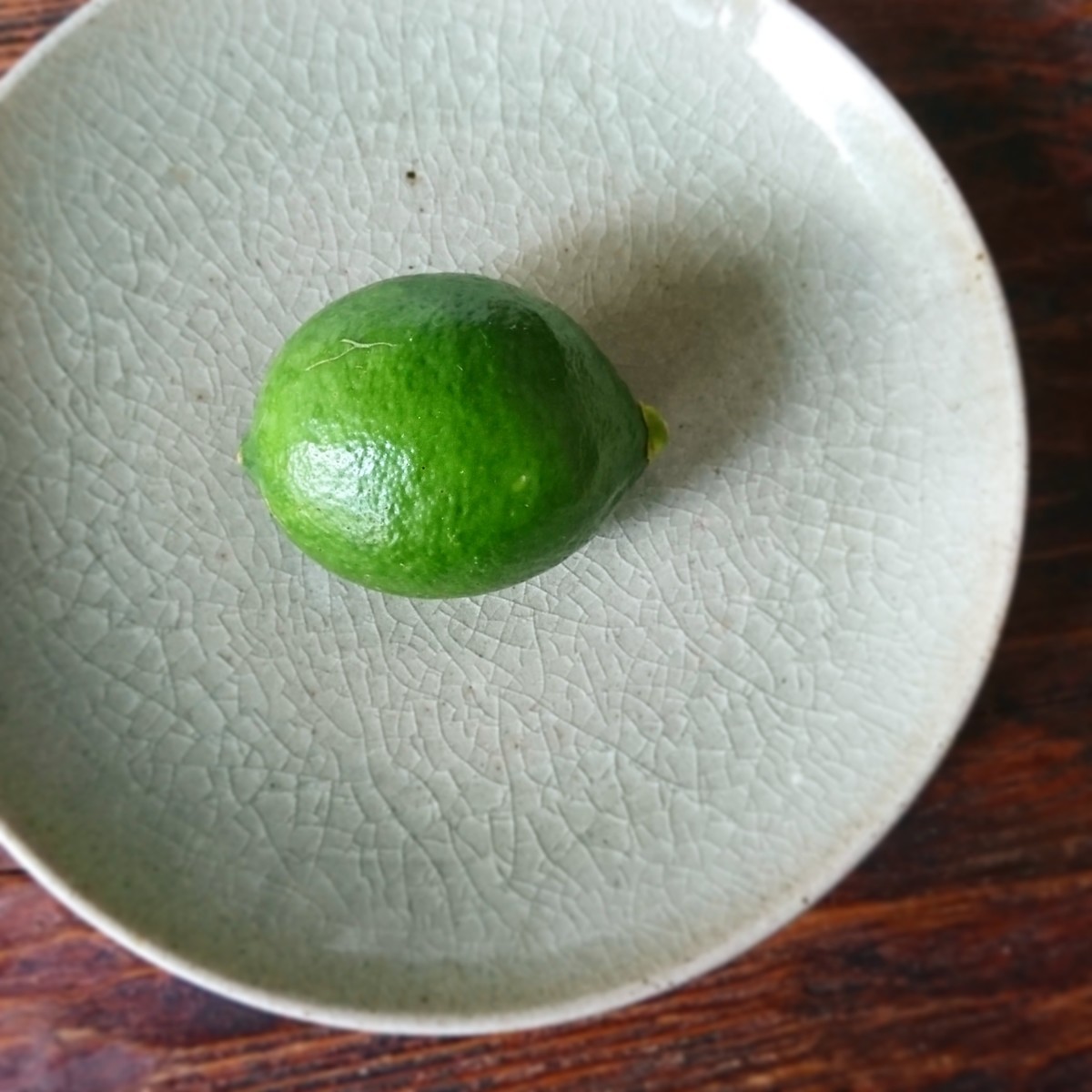 f:id:kusaboshi:20190903150351j:plain f:id:kusaboshi:20190903150351j:plain