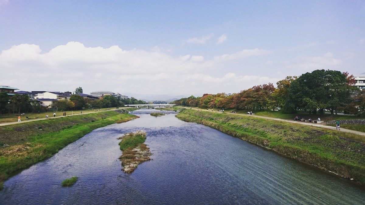 f:id:kusaboshi:20191101114635j:plain