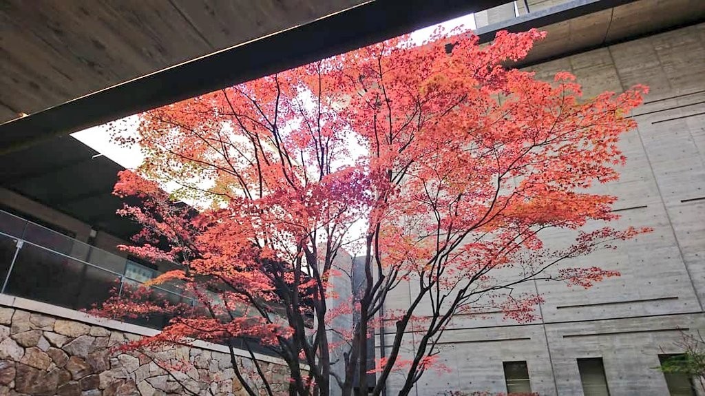 f:id:kusaboshi:20201204183455j:plain