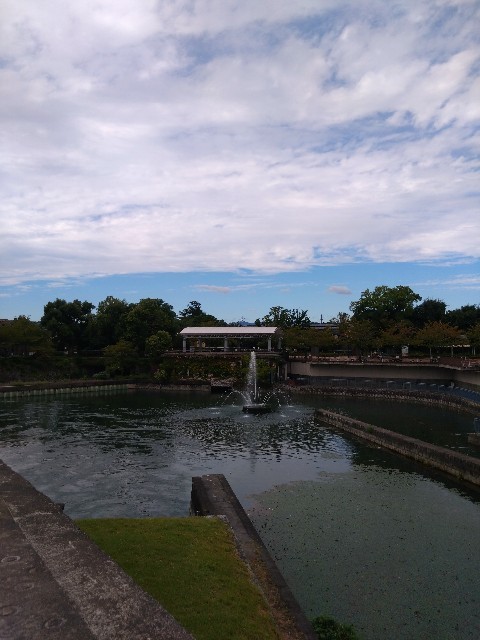 f:id:kusaboshi:20220929233841j:image