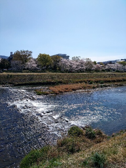 f:id:kusaboshi:20230329103553j:image