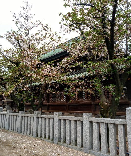 f:id:kusaboshi:20230407155327j:image