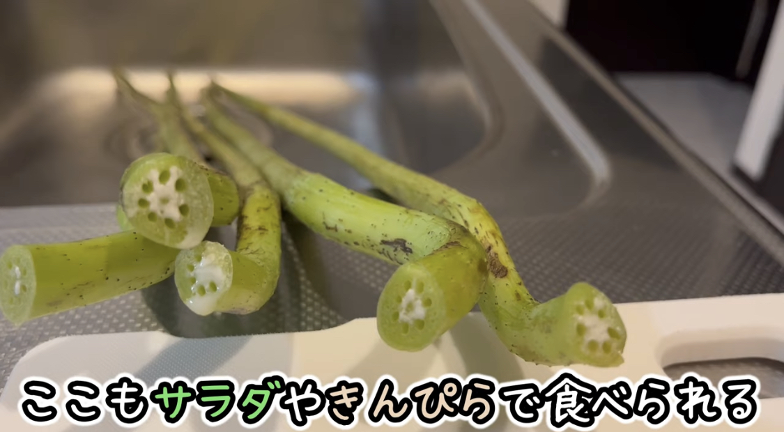 蓮の茎