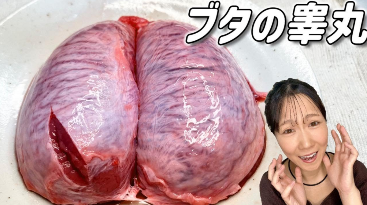 豚の睾丸ｙｏｕｔｕｂｅサムネイル