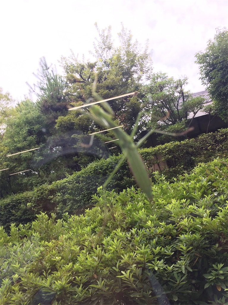 f:id:kusagami:20180730065756j:image