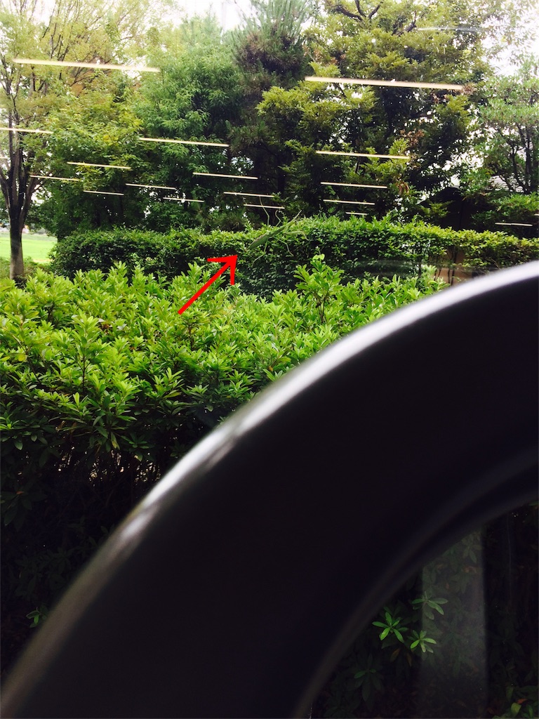 f:id:kusagami:20180730065801j:image