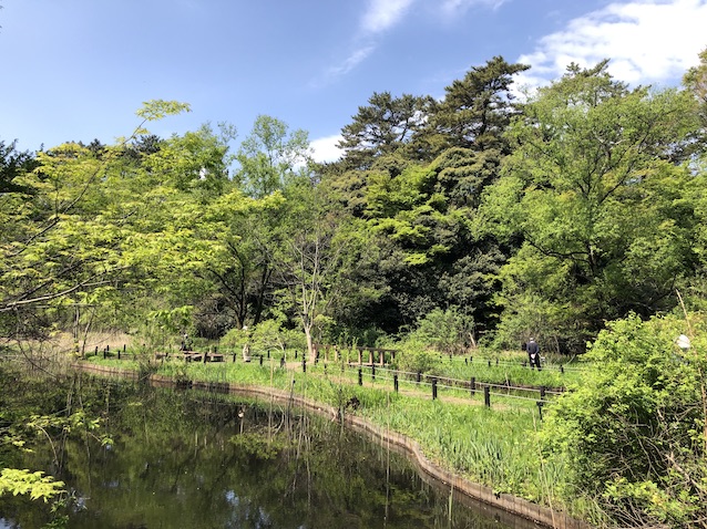 f:id:kusagasuki:20210410190515j:plain