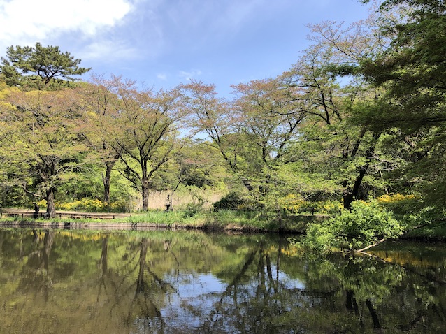 f:id:kusagasuki:20210410191220j:plain