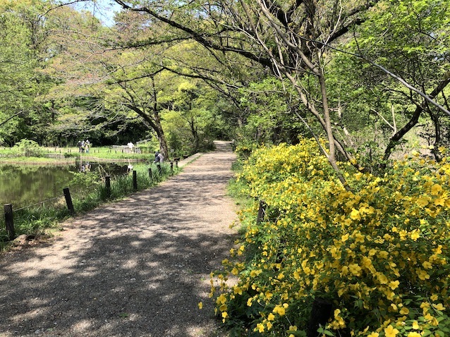 f:id:kusagasuki:20210410191454j:plain