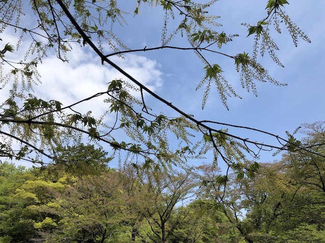 f:id:kusagasuki:20210410191624j:plain