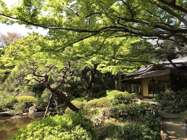 f:id:kusagasuki:20210410193605j:plain