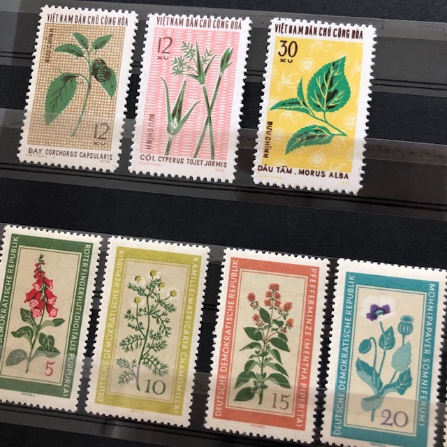 一生幸せに暮らすなら 草が好き 一生幸せに暮らすなら 草が好き