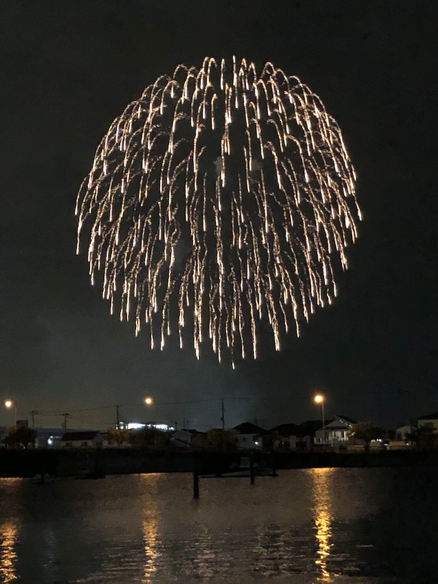 Fire Works Ruffle Rose ファイヤーワークス・ラッフル Fireworks Ruffle - Portraits of Roses
