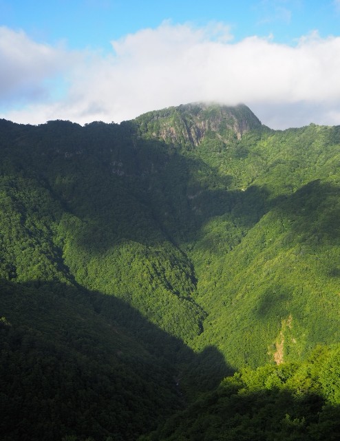 f:id:kusagoro:20190619000335j:image f:id:kusagoro:20190619000335j:image