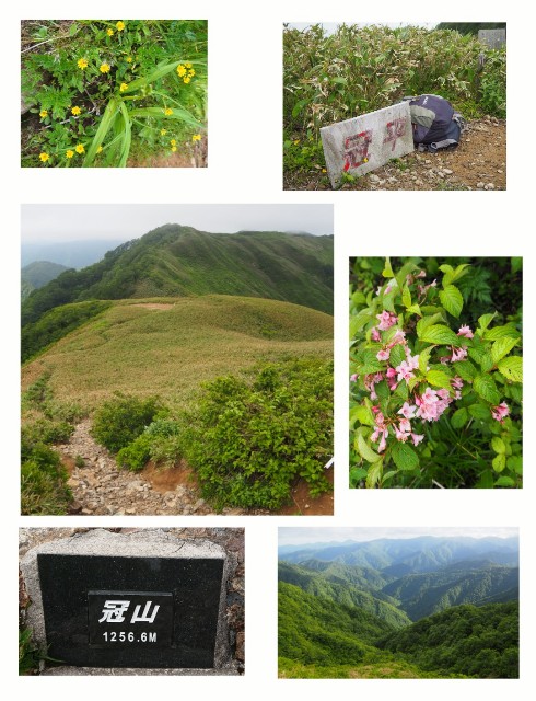 f:id:kusagoro:20190619003701j:image f:id:kusagoro:20190619003701j:image