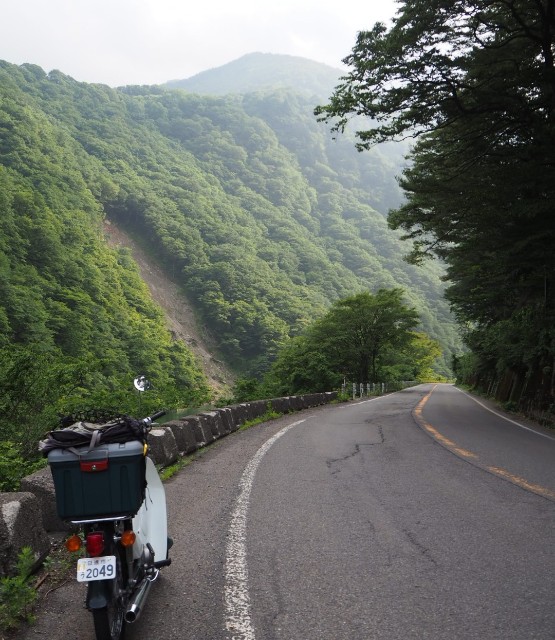 f:id:kusagoro:20190701173913j:image f:id:kusagoro:20190701173913j:image