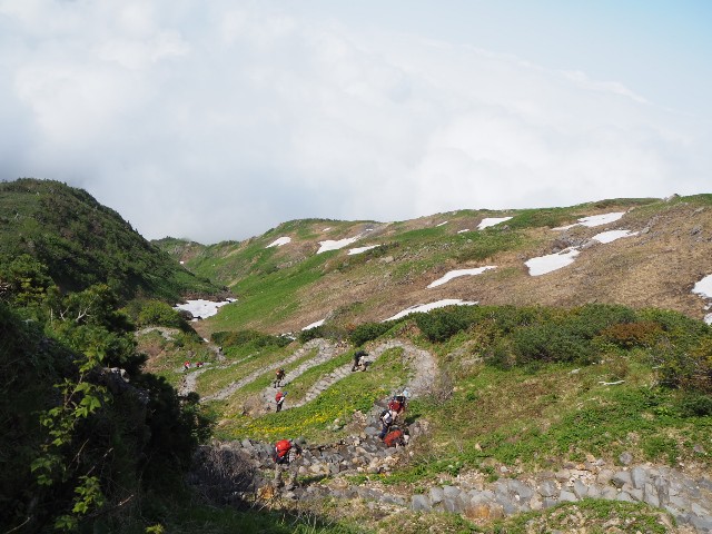 f:id:kusagoro:20190701174124j:image f:id:kusagoro:20190701174124j:image
