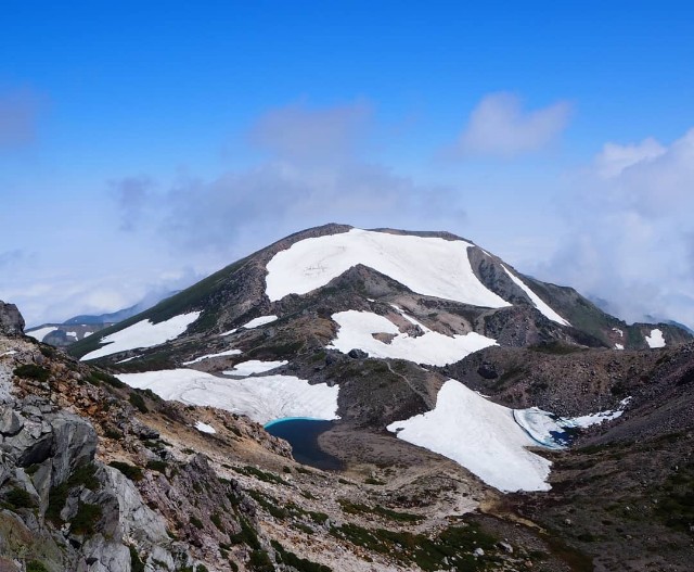 f:id:kusagoro:20190701174327j:image f:id:kusagoro:20190701174327j:image