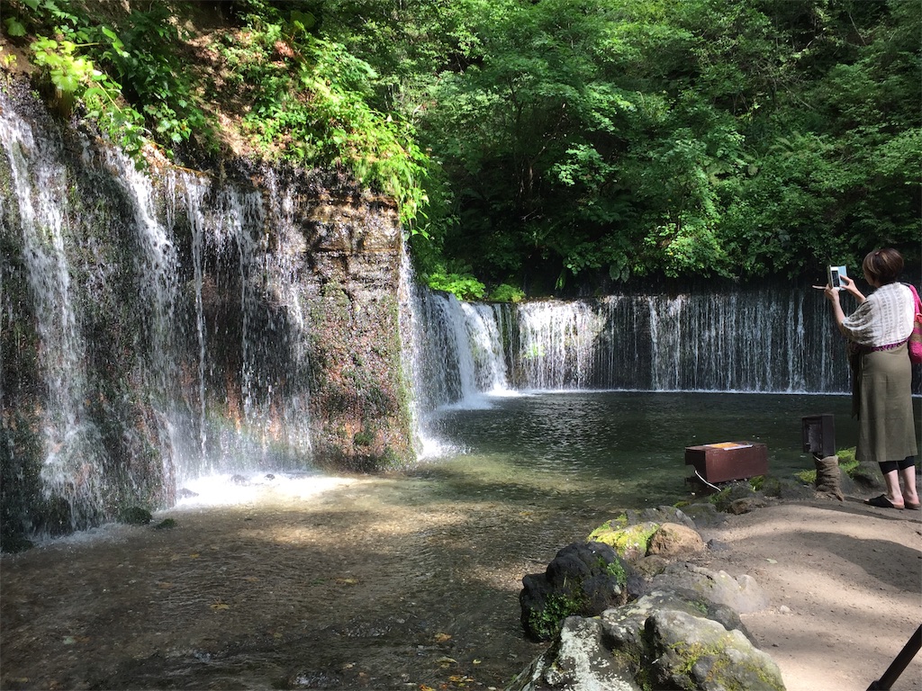 f:id:kusahiki:20190812173958j:image f:id:kusahiki:20190812173958j:image